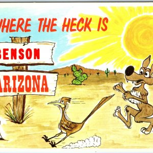 c1970s Benson, AZ Greetings Mock Loony Toons Road Runner Wile E. Coyote PC M10