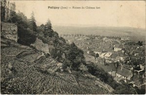 CPA POLIGNY - Ruines du Chateu fort (150212)