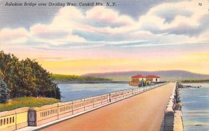 Ashokan Bridge over Dividing Weir Misc New York