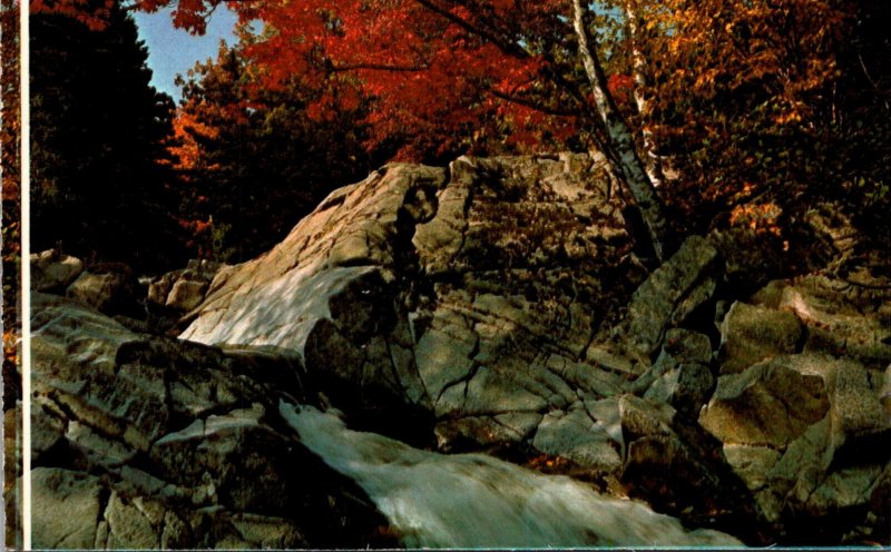 Canada Cape Breton Island Mac Leod's Brook On Cabot Trail