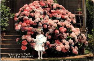 VINTAGE POSTCARD LITTLE GIRL IN FRONT OF HYDRANGES FLOWERS REDLANDS CALI 1908