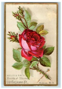 Victorian Trade Card Mills & Race Boots & Shoes, Red Rose Image D1 