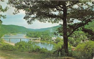 Tionesta Pennsylvania~Bridge over Allegheny River~US 62 & Rt 36~1967 Postcard