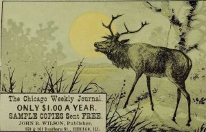 1880's-90's The Chicago Weekly Journal Elk In Forest Moon Night Scene P66
