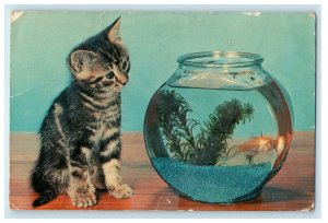 1964 Cat and Fish in Aquarium Bowl Black Forest Gateway Germania PA Postcard