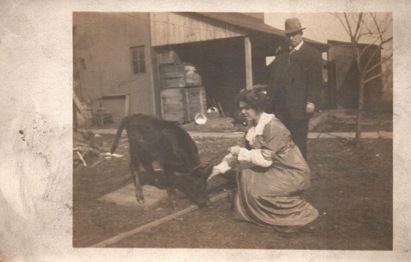 VINTAGE POSTCARD MAN AND WOMAN FEEDING CALF AZO 1904-1918 REAL PHOTO RPPC