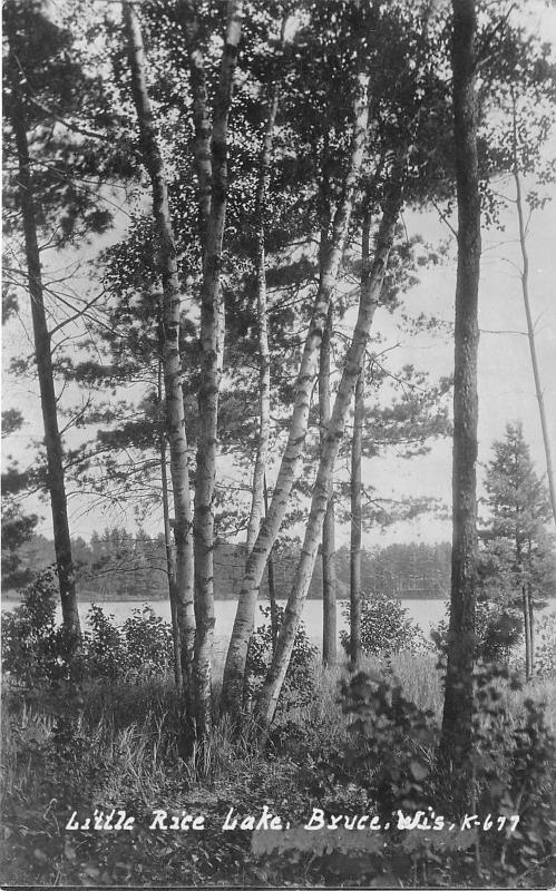 Bruce Wisconsin~Little Rice Lake Through Birch Trees~1926 Real Photo Postcard