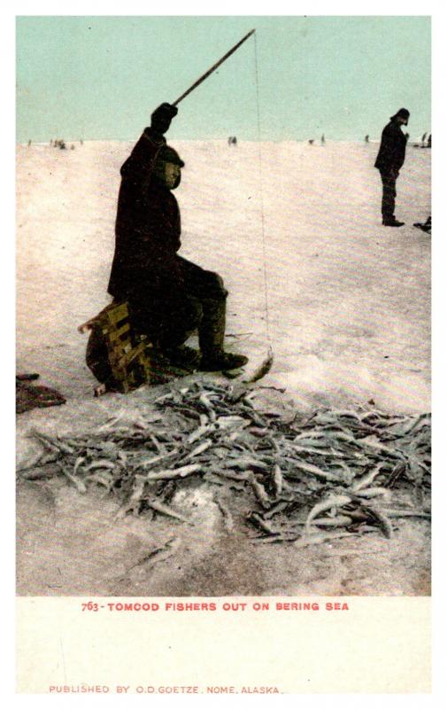 Alaska  Ice Fishing for  Tomcod  on the Bering Sea