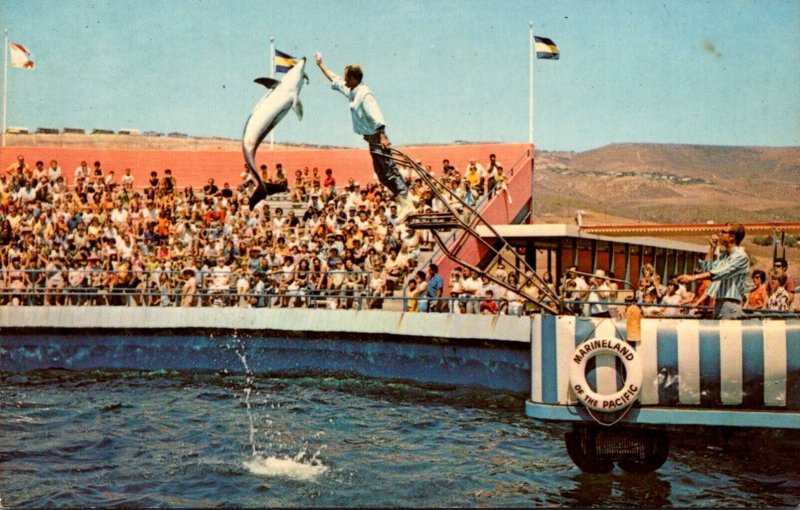 Marineland Of The Pacific Jumping Porpoise