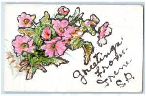 c1910 Greetings From Flowers Leaves Embossed Glitter Irene South Dakota Postcard