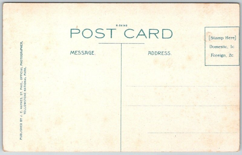 Yellowstone Park Wyoming 1920s Haynes Postcard Upper Geyser Basin