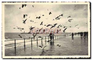 Modern Postcard Ostend The Gulls On La Digue By Storm