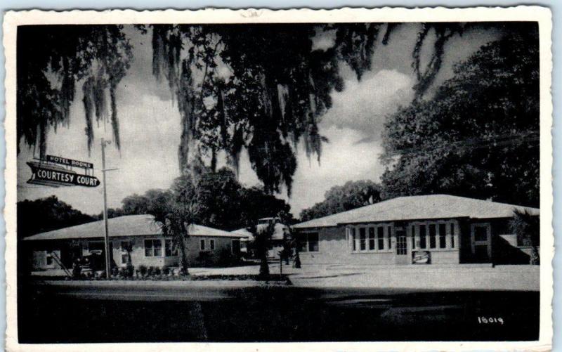 ST. AUGUSTINE, Florida  FL   Roadside  COURTESY COURT  c1940s-50s  Postcard