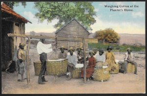 Black People Sitting Baskets Cotton Weighing Planters Home Unused c1910s