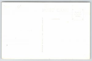 Park Rapids Minnesota~Big Log Cabin @ Pine Haven Beach Resort c1934