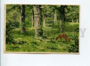 3170900 Summer HUNT Forest DEER by MAILICK vintage Color PC