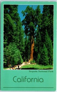 Postcard - The General Sherman Tree, Sequoia National Park - Three Rivers, CA