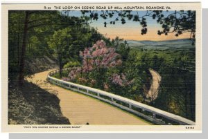 Roanoke, Virginia/VA Postcard,Mill Mountain/Loop, Near Mint!