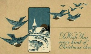 1907- 15 To Wish You Every Kind Of Christmas Cheer Postcard Song Birds Farm Blue