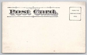 Davenport Iowa Central Park Rustic Bridge Mirrored in Stream Postcard A26