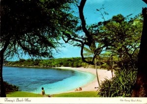 Hawaii Maui Fleming's Beach At Napili