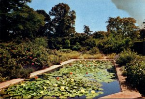 England Gloucestershire Hidcote Manor Gardens The Lily Pond