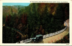 Vtg 1930s In the Santa Cruz Mountains California CA White Border Postcard