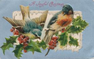 Joyful Christmas Greetings - Birds and Holly - DB