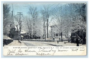 1905 Winter Scene Chestnut Str. Oneonta New York NY Posted Antique Postcard