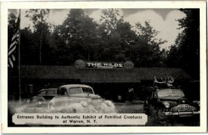 The Wilds, Entrance to Petrified Creatures Warren NY Vintage Postcard L23