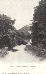 Vintage Postcard Pathway Trees Plants Road to Oehler's La Crosse Wisconsin WI