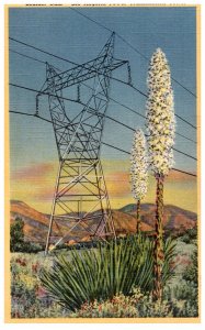 Colorado  Boulder Dam Los Angeles Power Transmission Tower