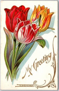 1910's Flower Tulip Large Print Greetings & Wishes Posted Postcard