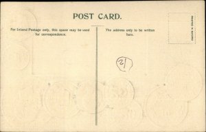 Flag & Coins Currency Money Embossed on c1910 Postcard ITALY