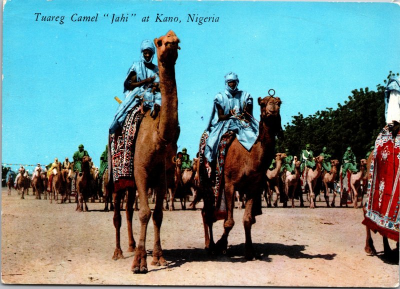 Kano Nigeria Postcard used 1967 Tuareg Camel