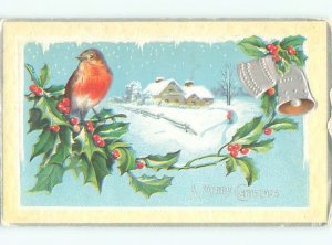Divided-Back CHRISTMAS BIRDS SCENE Pretty Postcard W8533