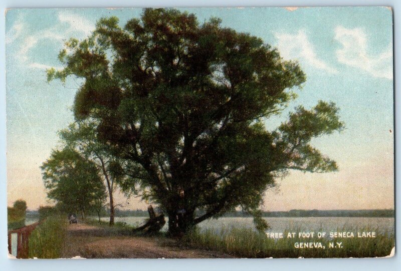 DPO (1816-1918) Bristol NY Postcard Tree At Foot Of Seneca Lake Geneva NY 1909