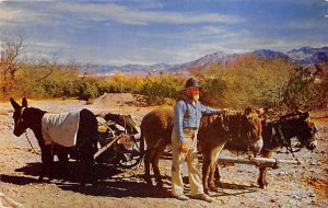 Gold Prospectors Donkey 1955 