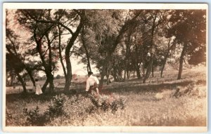 c1910s Lovely Scenic Park Trees & Man RPPC Kodak Velvet Green Real Photo PC A139