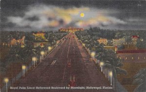 Royal Palm Lined Hollywood Boulevard by Moonlight  Hollywood FL