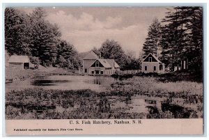 c1940s US Fish Hatchery Hillsborough County Nashua NH Unposted Puddle Postcard