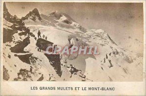 Old Postcard The Great Mules and Mont Blanc