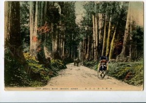 3075207 JAPAN Crip meria road Imaichi Nikko Vintage tinted PC