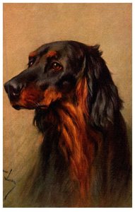 Dog  ,Boxer ,artist signed Alfred Mainzer