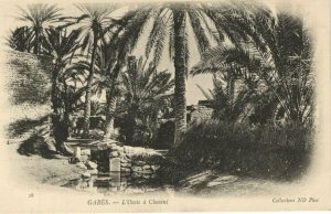 CPA AK TUNISIE KAIROUAN - L'Oasis a CHENINI (161795)