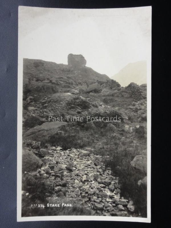 Cumbria THE LAKE DISTRICT Stake Pass - Old RP Postcard by Pettitts of Keswick