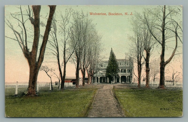 STOCKTON NJ WOLVERINE ANTIQUE POSTCARD