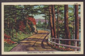 Greetings From Casey IL Postcard 