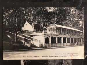 Mint Hanoi China Real Picture Postcard Botanic Garden