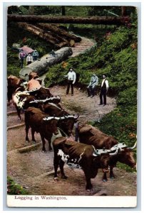 Vancouver Washington WA Postcard Logging In Washington Pulling Oxen 1915 Antique